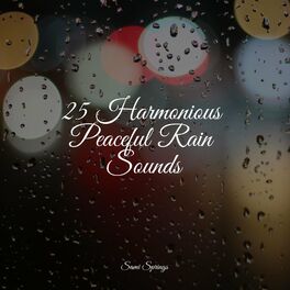 Album cover of 25 Harmonious Peaceful Rain Sounds