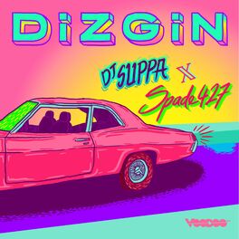 Album cover of Dizgin
