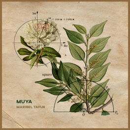 Album cover of Muya