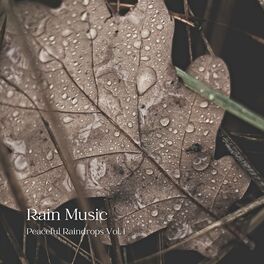 Album cover of Rain Music: Peaceful Raindrops Vol. 1