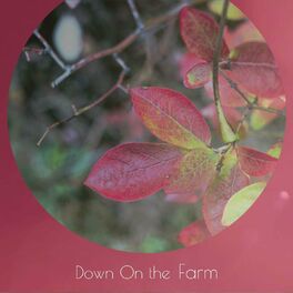 Album cover of Down On the Farm