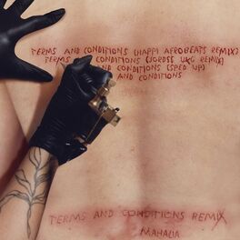 Album cover of Terms and Conditions (The Remixes)