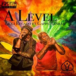 Album cover of A Level (feat. Gappy Ranks)