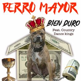 Album cover of Bien Duro