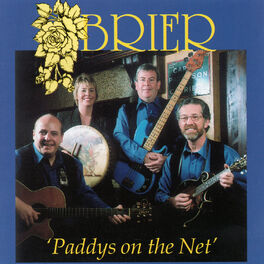Album cover of Paddy's on the Net