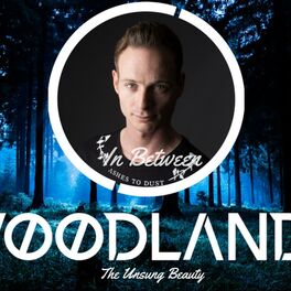 Album cover of Unsung Beauty (Woodlandz Festival Anthem 2018)