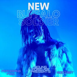 Album cover of New Buffalo Soldier