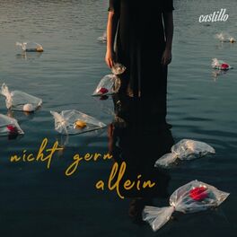 Album cover of Nicht gern allein