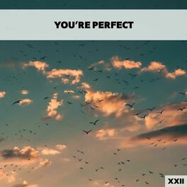 Album cover of You're Perfect XXII