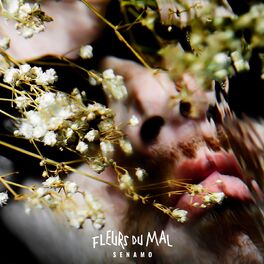 Album cover of Fleurs du mal