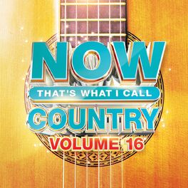 Album cover of NOW That's What I Call Country Vol. 16