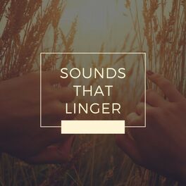 Album cover of Sounds That Linger
