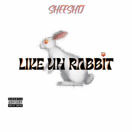 Album cover of Like uh Rabbit