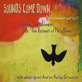 Album cover of Sounds Come Down: the vehement opera part 1