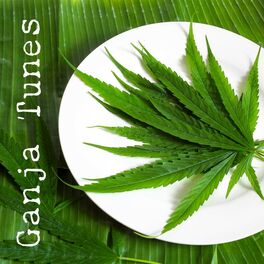 Album cover of Ganja Tunes: One Joint at a Time