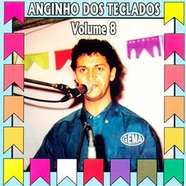 Album cover of Anginho dos Teclados, Vol. 8