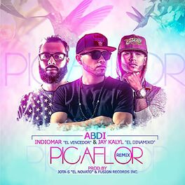 Album cover of Picaflor (Remix)