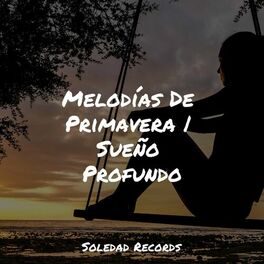 Album cover of Melodías De Primavera | Sueño Profundo