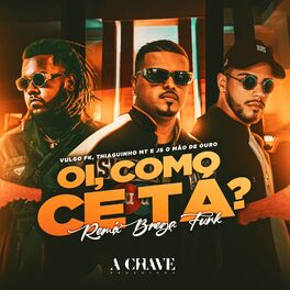 Album cover of Oi, Como Ce Tá? (Remix Brega Funk)