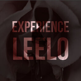 Album cover of Experience