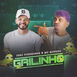 Album cover of Grilinho
