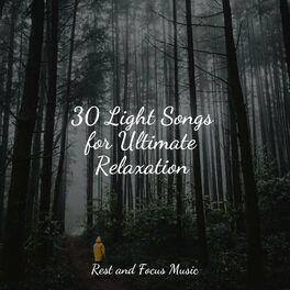 Album cover of 30 Light Songs for Ultimate Relaxation