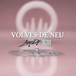 Album cover of Volves de neu (Ley DJ Remix)
