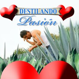 Album cover of Destilando Pasión