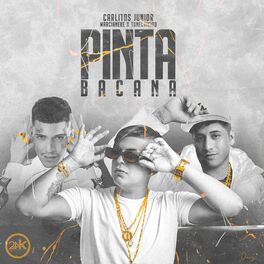 Album cover of PINTA BACANA