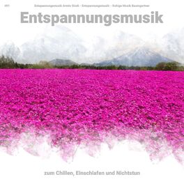 Album cover of #01 Entspannungsmusik zum Chillen, Einschlafen und Nichtstun