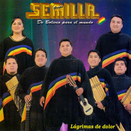 Album cover of Lágrimas de Dolor