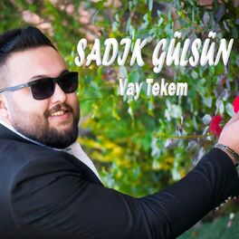 Album cover of Vay Tekem
