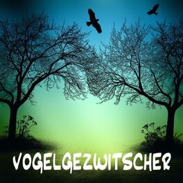 Album cover of Vogelgezwitscher