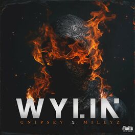 Album cover of Wylin