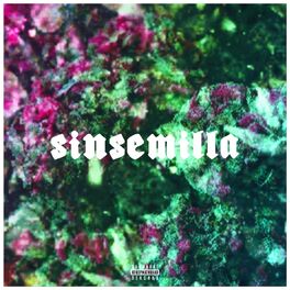 Album cover of Sinsemilla