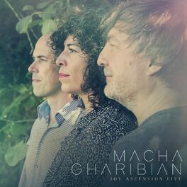 Album cover of Joy Ascension Live