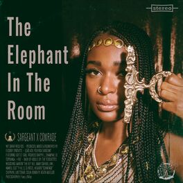 Album cover of The Elephant In The Room