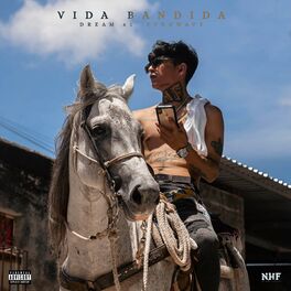 Album cover of Vida Bandida (feat. DREAM 61)