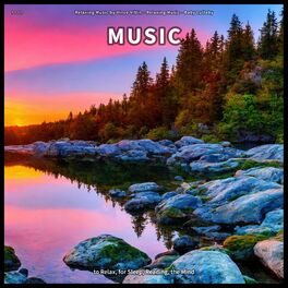 Album cover of ! ! ! ! Music to Relax, for Sleep, Reading, the Mind