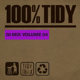 Album cover of 100% Tidy, Vol. 4