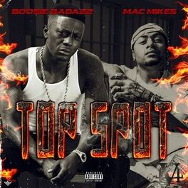 Album cover of Top Spot