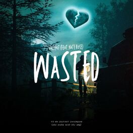 Album cover of Wasted (feat. Nate Rose)
