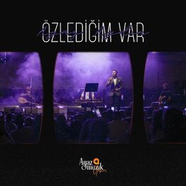 Album cover of Özlediğim Var