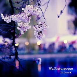 Album cover of Wa Picturesque
