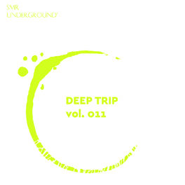 Album cover of Deep Trip Vol.XI