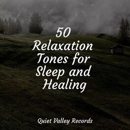 Album cover of 50 Relaxation Tones for Sleep and Healing