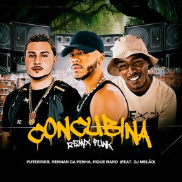 Album cover of Concubina (Remix Funk) (feat. DJ Melão)