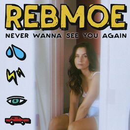 Album cover of Never Wanna See You Again