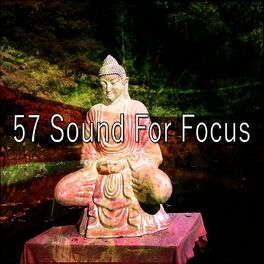 Album cover of 57 Sound for Focus