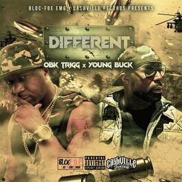 Album cover of DIFFERENT (feat. YOUNG BUCK)